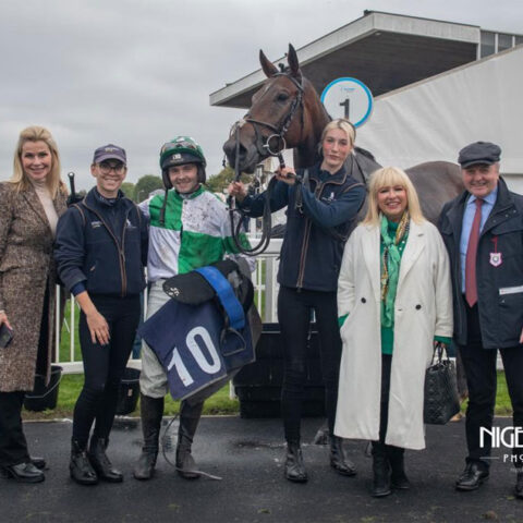 Wellington Arch impresses on debut - O'Neill Racing