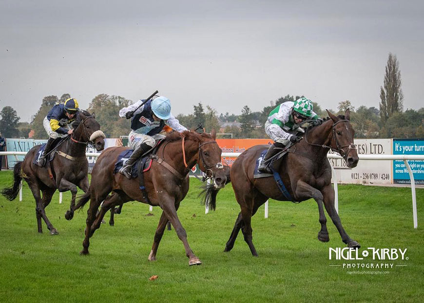 Wellington Arch impresses on debut | Race Updates | O'Neill Racing