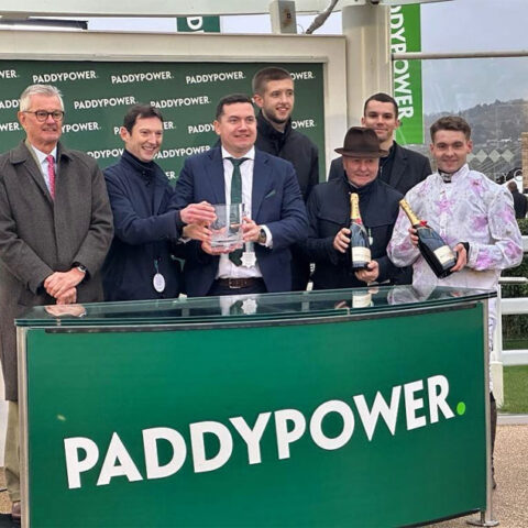 Springwell Bay shines at Cheltenham - O'Neill Racing