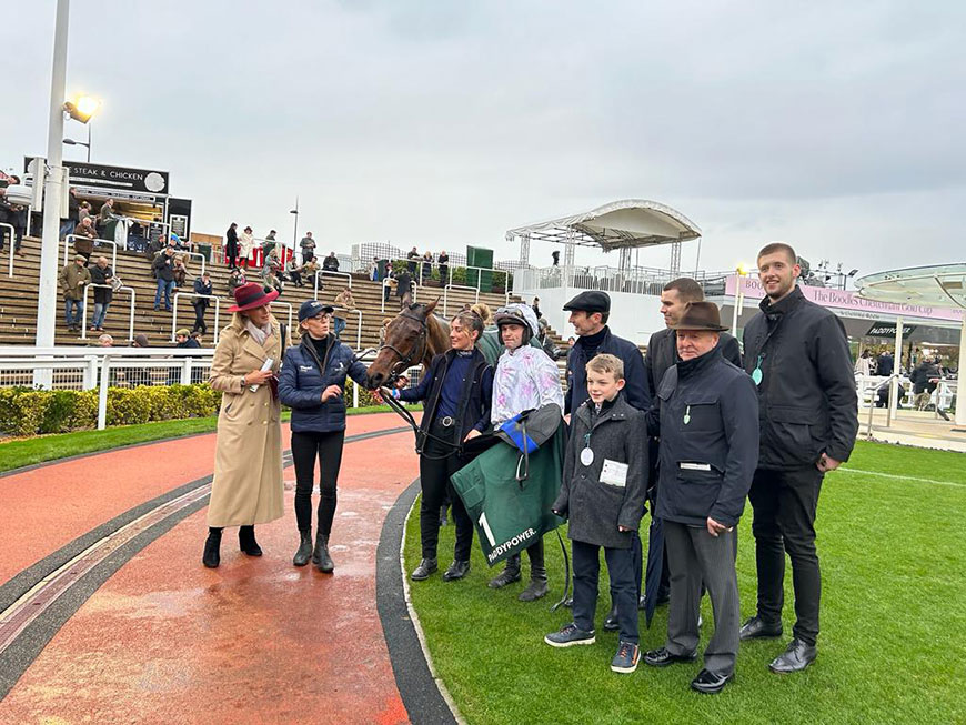 Springwell Bay shines at Cheltenham | Race Updates | O'Neill Racing