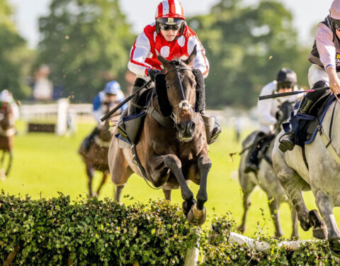 Cawthorne Banker wins at Fontwell - O'Neill Racing