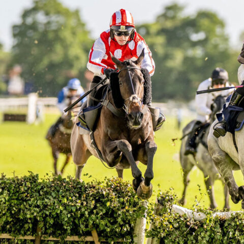 Cawthorne Banker wins at Fontwell - O'Neill Racing