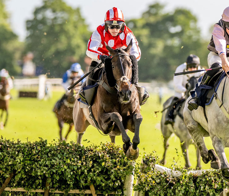 O'Neill Racing - Cawthorne Banker wins at Fontwell