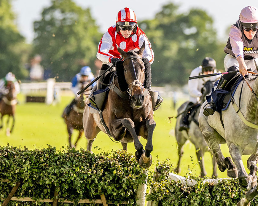 Cawthorne Banker wins at Fontwell | Race Updates | O'Neill Racing