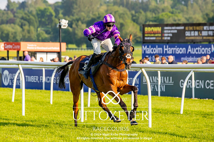 Collectors Item returns to winning ways at Uttoxeter | Race Updates | O'Neill Racing