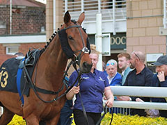 Racing | O'Neill Racing