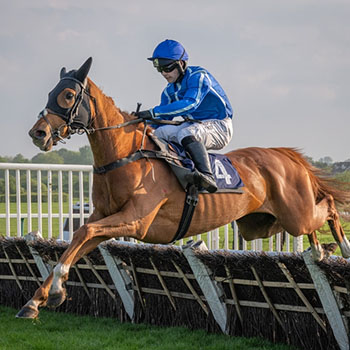 Racing | O'Neill Racing