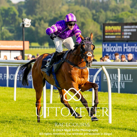 Collectors Item returns to winning ways at Uttoxeter - O'Neill Racing