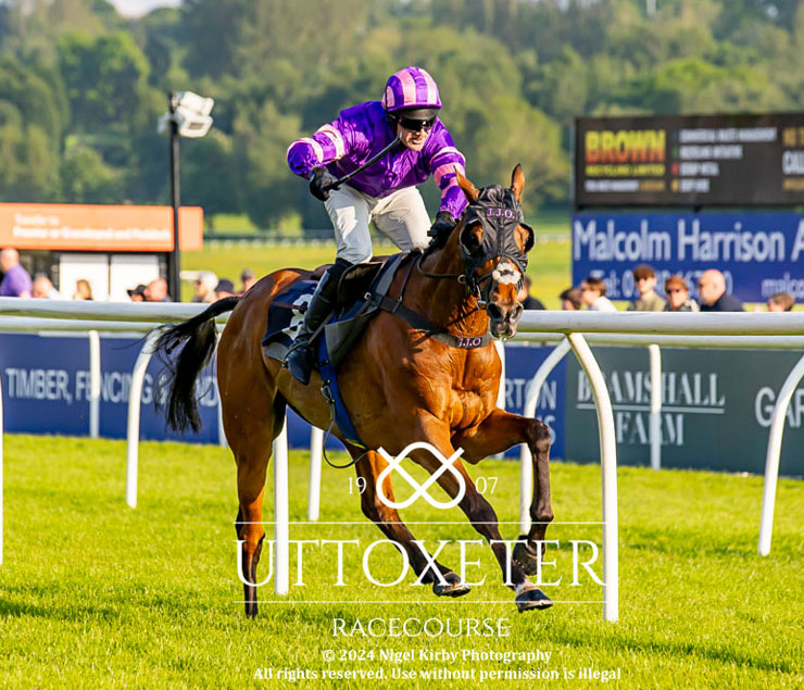 O'Neill Racing - Collectors Item returns to winning ways at Uttoxeter