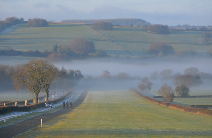 Stable Tours - O'Neill Racing