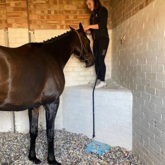 314398370-495351882627485-5819591402578694280-n