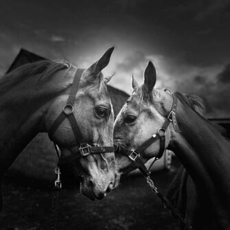 314429028-493922869437053-1532676419409351363-n