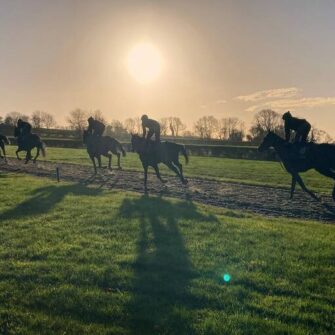 317337953-505777241584949-862358753718917610-n