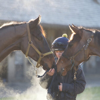 326068655-559186112917905-6468824247165141374-n