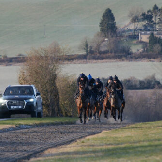 326194630-847068709721601-393582032850327678-n