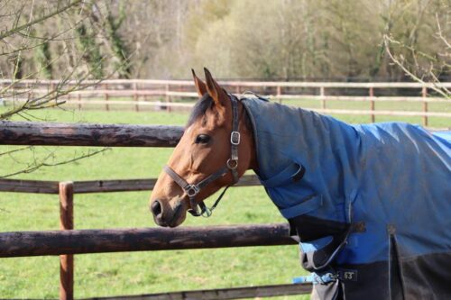 annie-france_orig - O'Neill Racing annie-france_orig