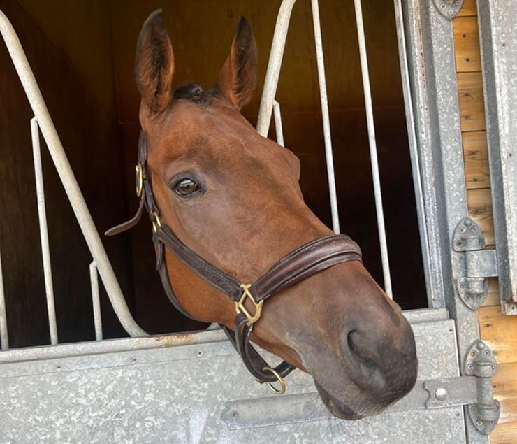 O'Neill Racing - Broughshane gets off the mark at Fontwell