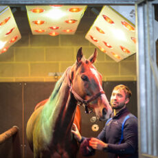 Equine Solarium | Facilities | O'Neill Racing - O'Neill Racing