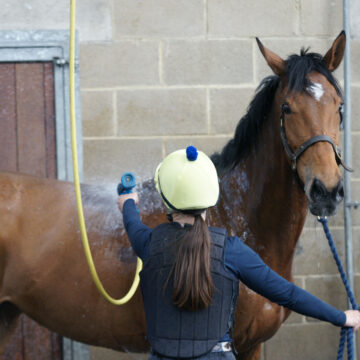 Equine Swimming Pool | Facilities | O'Neill Racing - O'Neill Racing