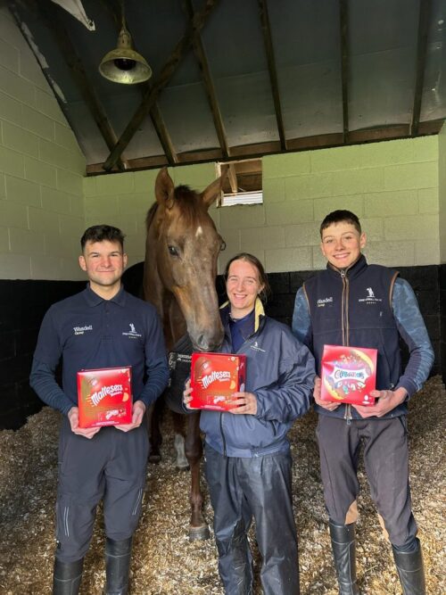 gke-pjfxsaeoeet_orig