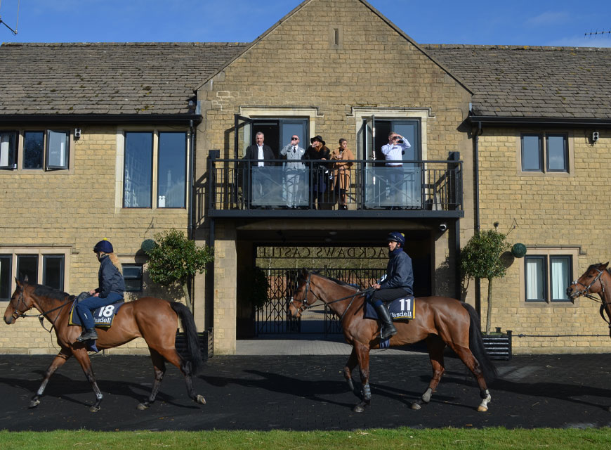 Heart of the Action | Owners Suite | Facilities | O'Neill Racing - O'Neill Racing