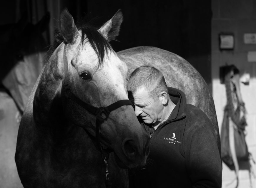 Horse Welfare | Racing | O'Neill Racing - O'Neill Racing Horse Welfare | Racing | O'Neill Racing - O'Neill Racing