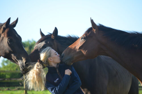 July 2024 Newsletter