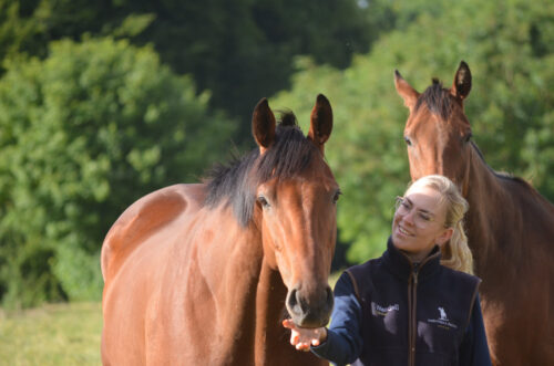 July 2024 Newsletter