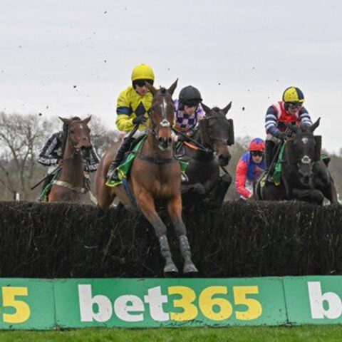 Regal Blue loves the mud at Uttoxeter - O'Neill Racing