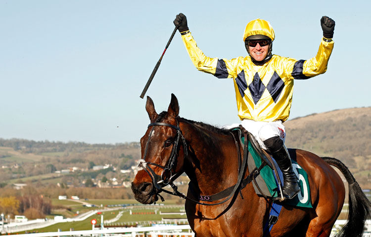 Our Sponsors | O'Neill Racing | Beyond Performance - O'Neill Racing