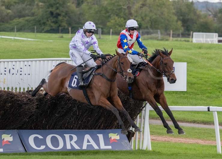 Springwell Bay impresses on chasing debut - O'Neill Racing