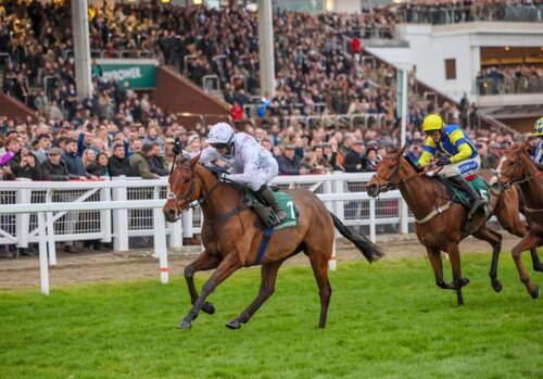 springwell-grossick-2_orig