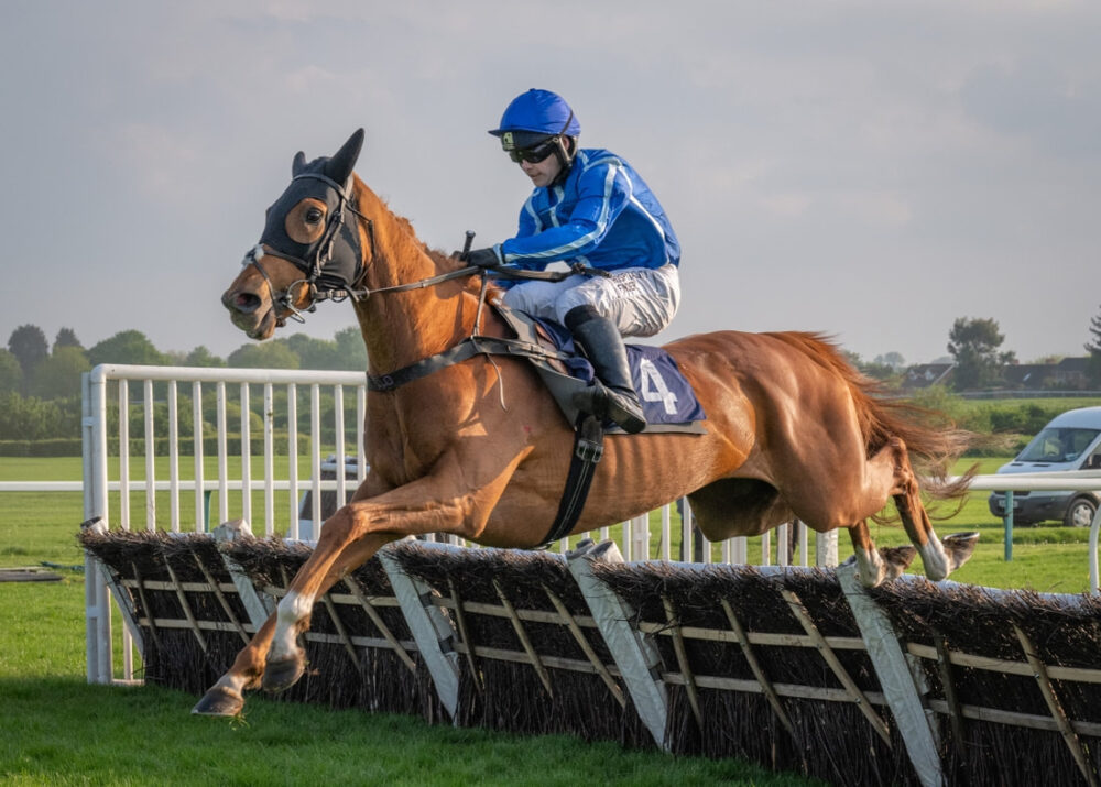 stay-if-u-want-to-nige-1_orig