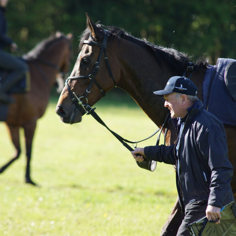 The Gallops | Facilities | O'Neill Racing - O'Neill Racing