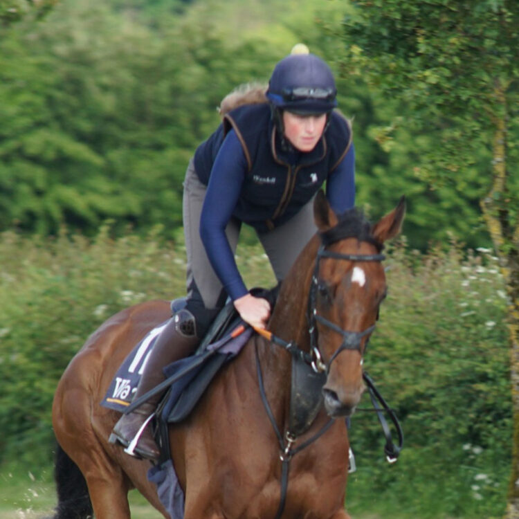 The Gallops | Facilities | O'Neill Racing - O'Neill Racing