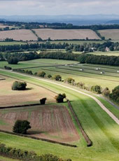 The Gallops | Facilities | O'Neill Racing