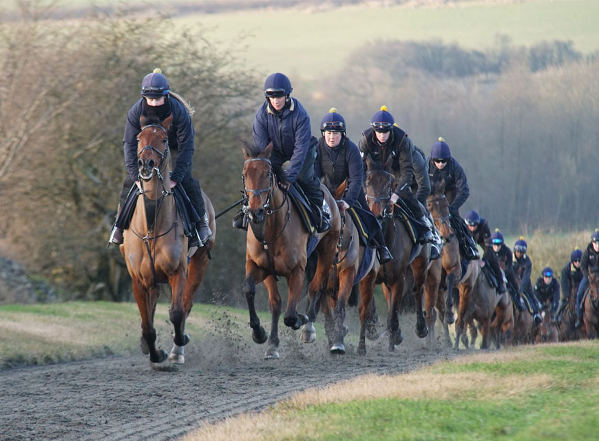 Training Fees | Ownership | O'Neill Racing - O'Neill Racing