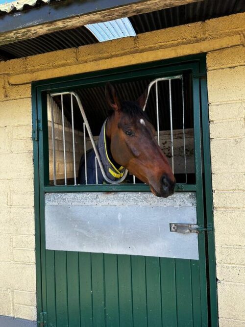 we-re-red-and-blue-fairy-house_orig