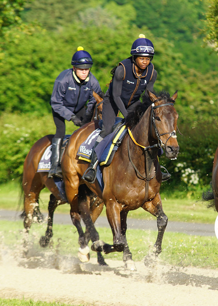 Witness Your Superstar in Action | Ownership | O'Neill Racing - O'Neill Racing