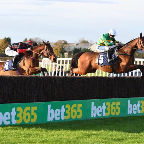 Genois shines at Wetherby - O'Neill Racing