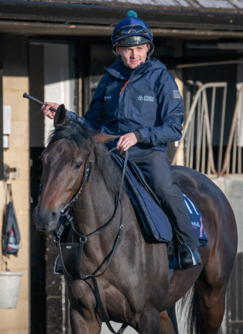 Jonjo O’Neill Jr. - O'Neill Racing Jonjo O’Neill Jr. - O'Neill Racing