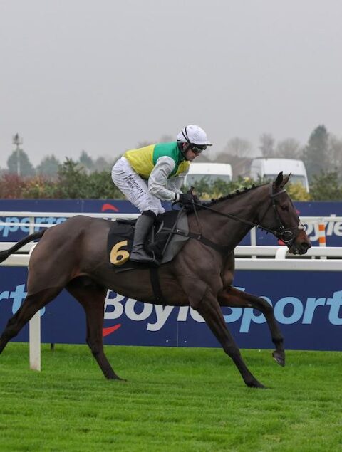 Mister Meggit impresses on hurdle debut at Aintree - O'Neill Racing