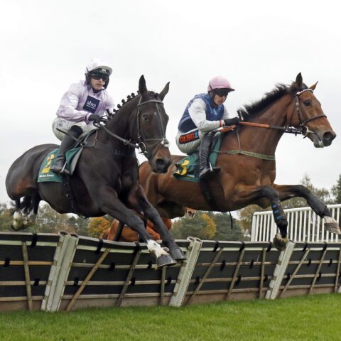 Double delight at Wetherby - O'Neill Racing