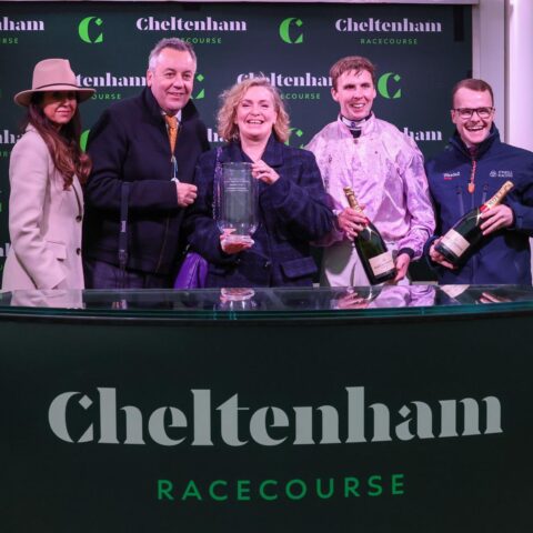 Wreckless Eric bounces back to win at Cheltenham - O'Neill Racing