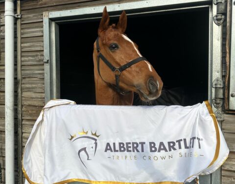 Stay If U Want To wins at Kelso - O'Neill Racing
