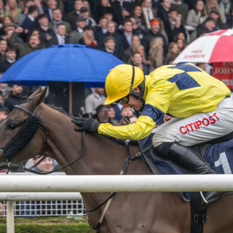 Monbeg Genius gets back to winning ways in style at Uttoxeter - O'Neill Racing