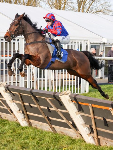 We’re Red And Blue makes it a Valentine’s double at Kelso - O'Neill Racing