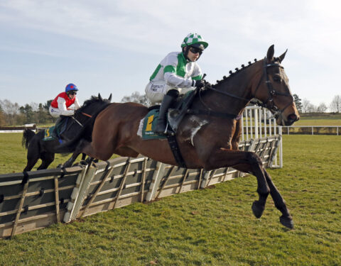 Wellington Arch wins at Market Rasen - O'Neill Racing