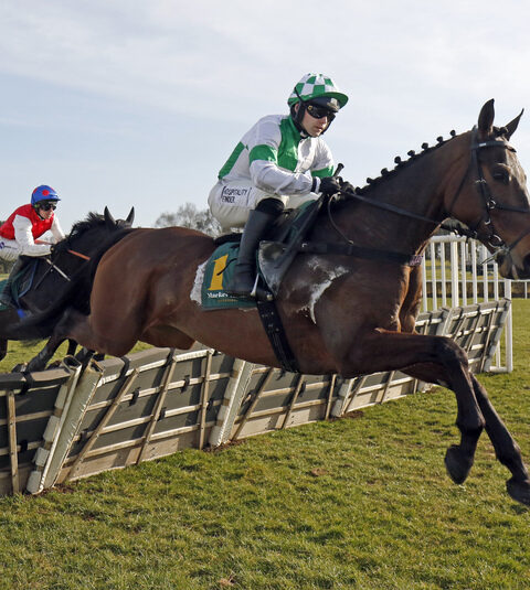 Wellington Arch wins at Market Rasen - O'Neill Racing