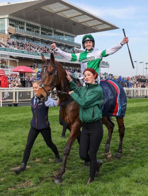 Wellington Arch wins the William Hill Handicap Hurdle at Aintree - O'Neill Racing